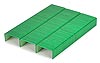 Standard office staples 1/4-inch length. Green. Galv. 1,000/box. Kangaro Brand.