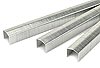 JK310 Staples, 1/2-inch crown