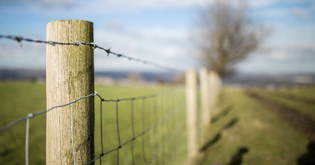 Dos and Don’ts for Using Fencing Staples