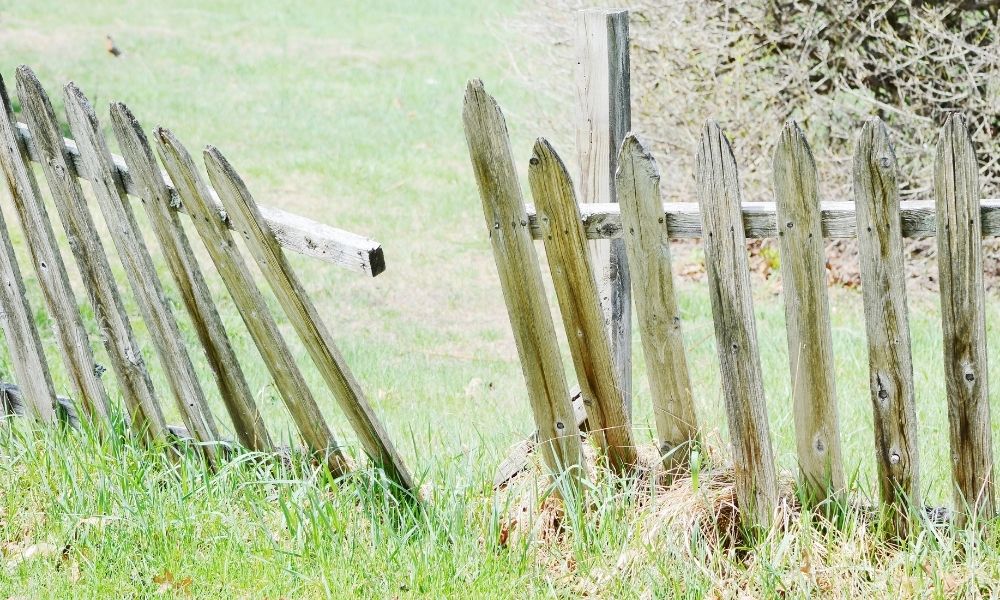 5 Ways To Prevent Your Fence From Rotting
