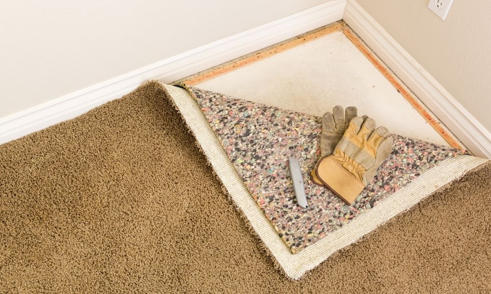What Causes Carpet Bubbling: Top 3 Reasons