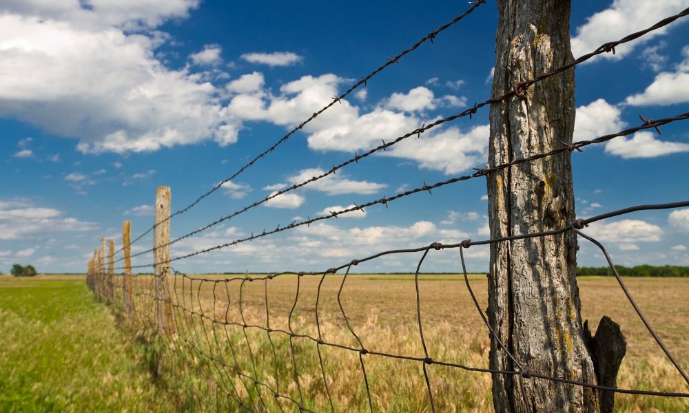 The Importance of Fence Staples